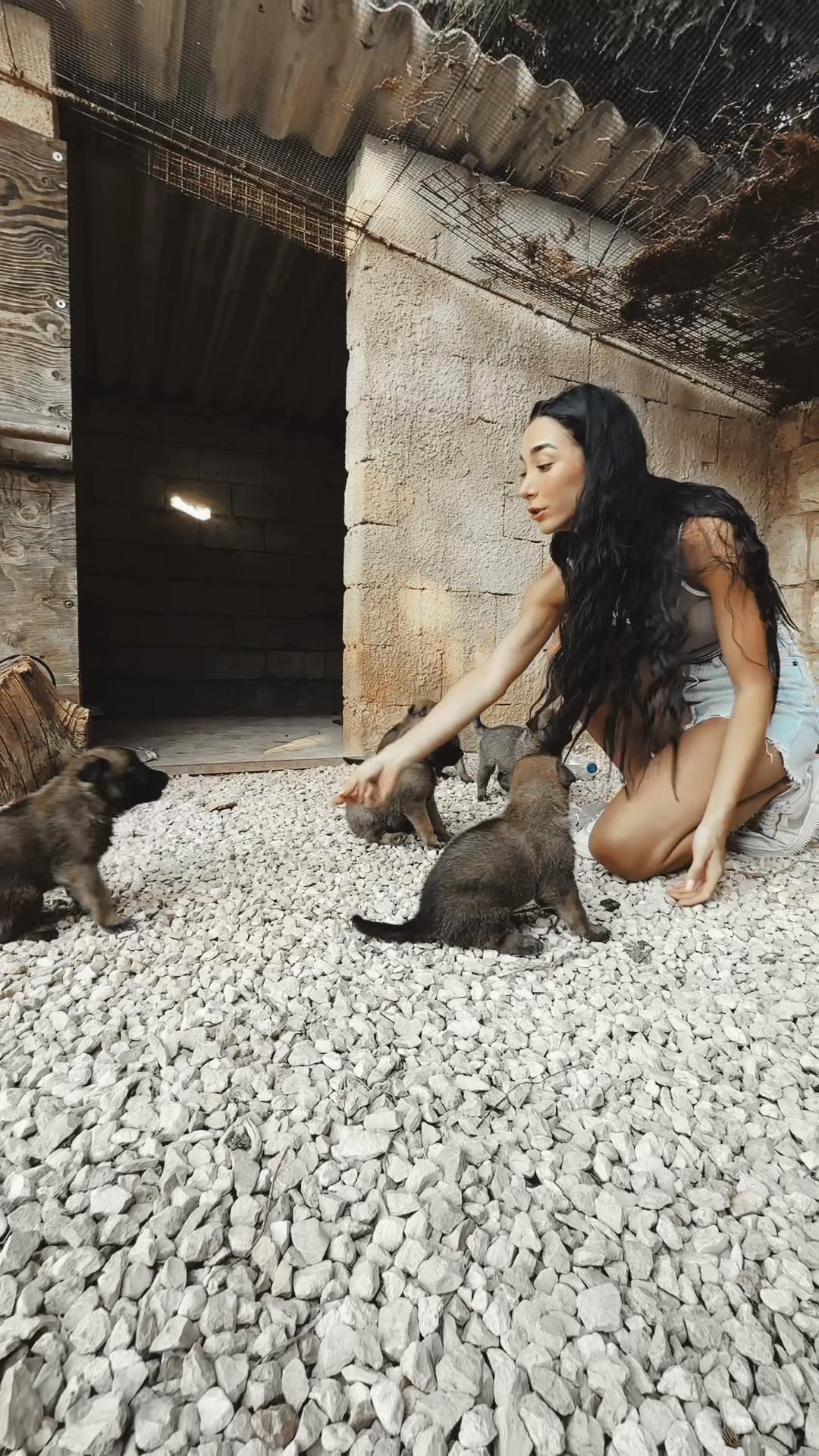@Violette Mezraany