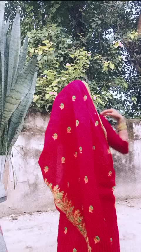 @♡🕊️