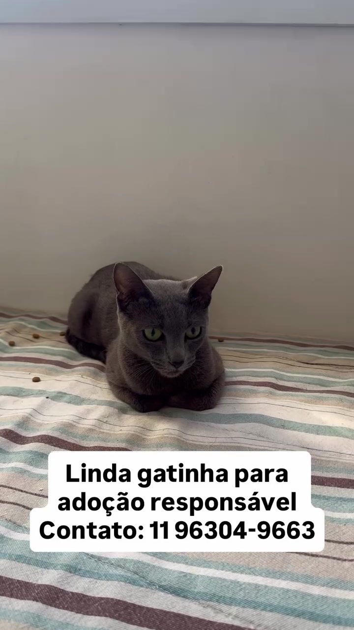 @Ed&ensp;pet
