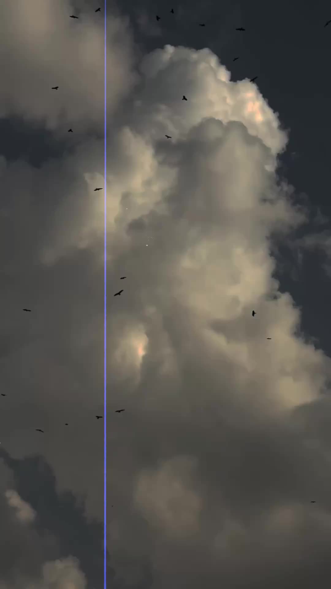 @𝗛𝗮𝗿𝗿𝘆