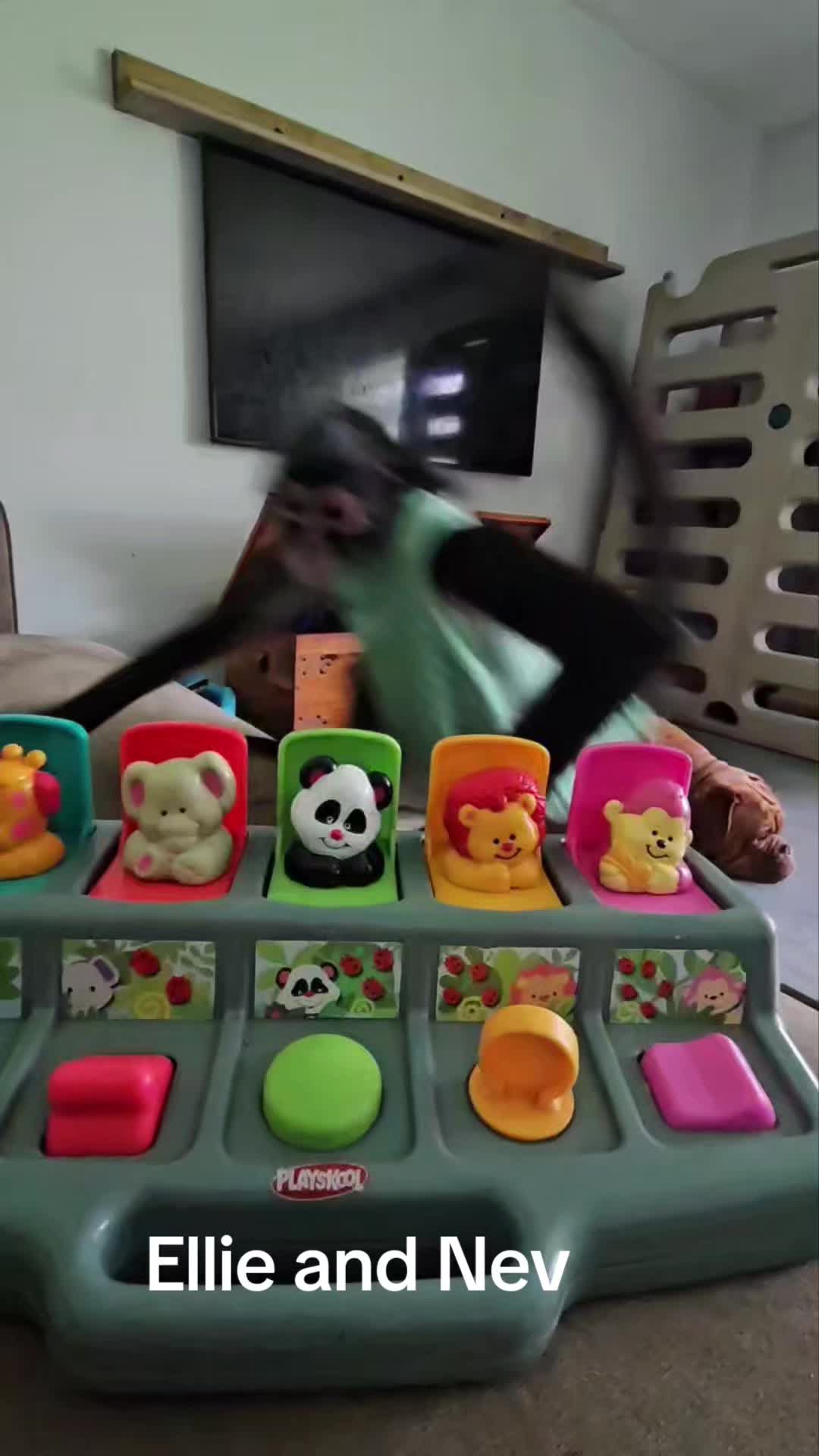@It's🐵Monkey🐵Time🐵