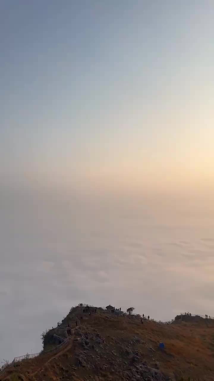 @S_W_A_R_O_O_P