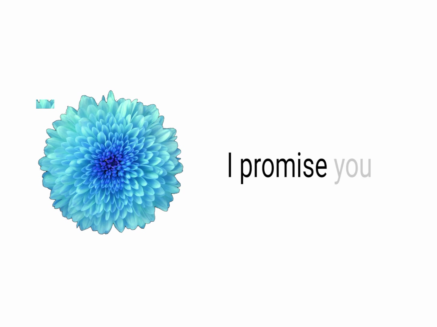 @︎ ︎ ︎ ︎ ︎︎︎︎︎︎︎︎︎︎︎Jed ︎ ︎ ︎ ︎