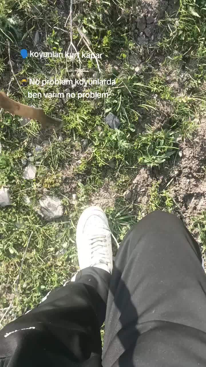 @Davut Babat 👑