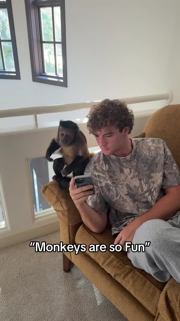 @dexthemonkeyy