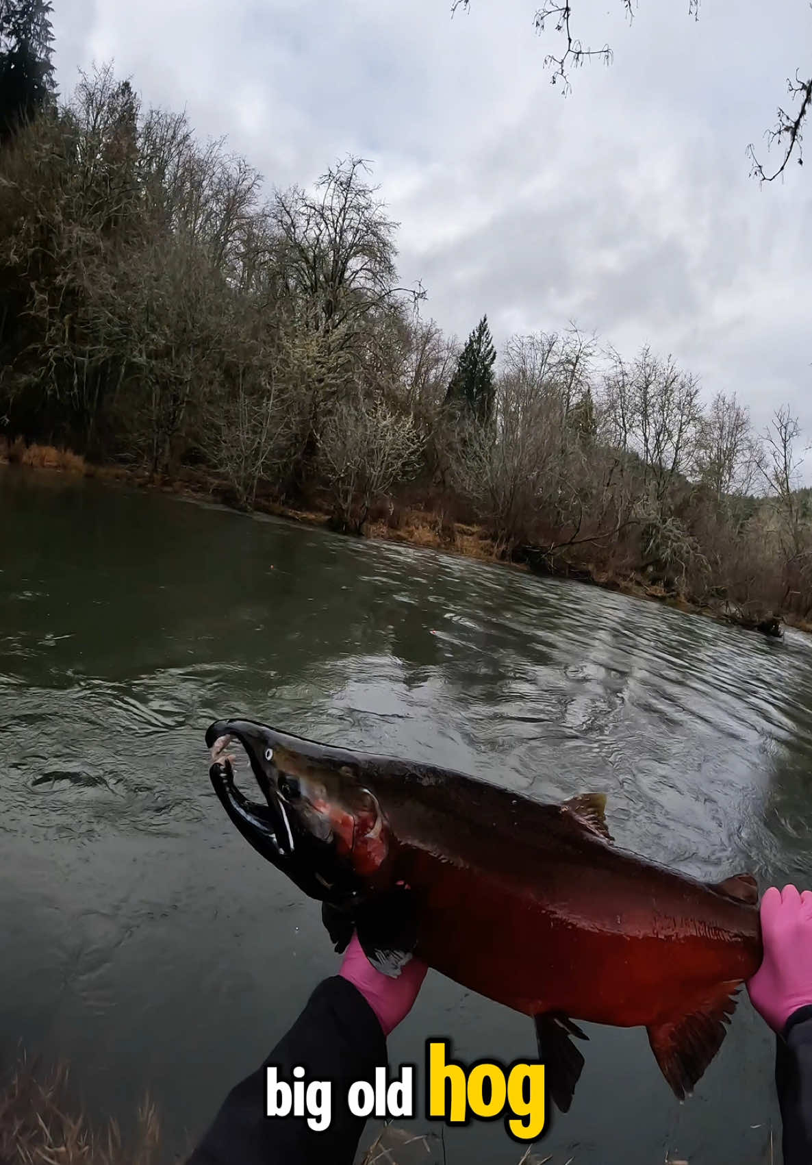@PNWOutdoorPursuits