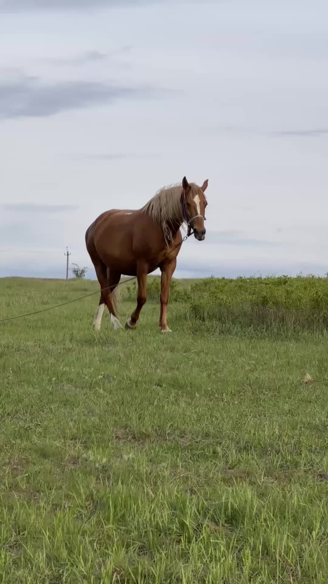 @Ольга