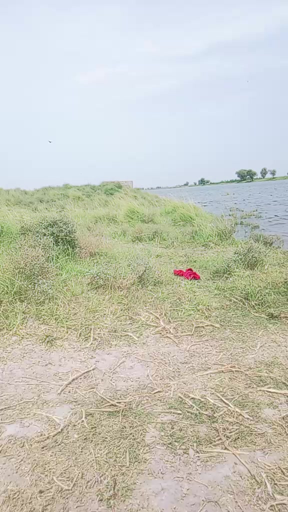 @Ali dost