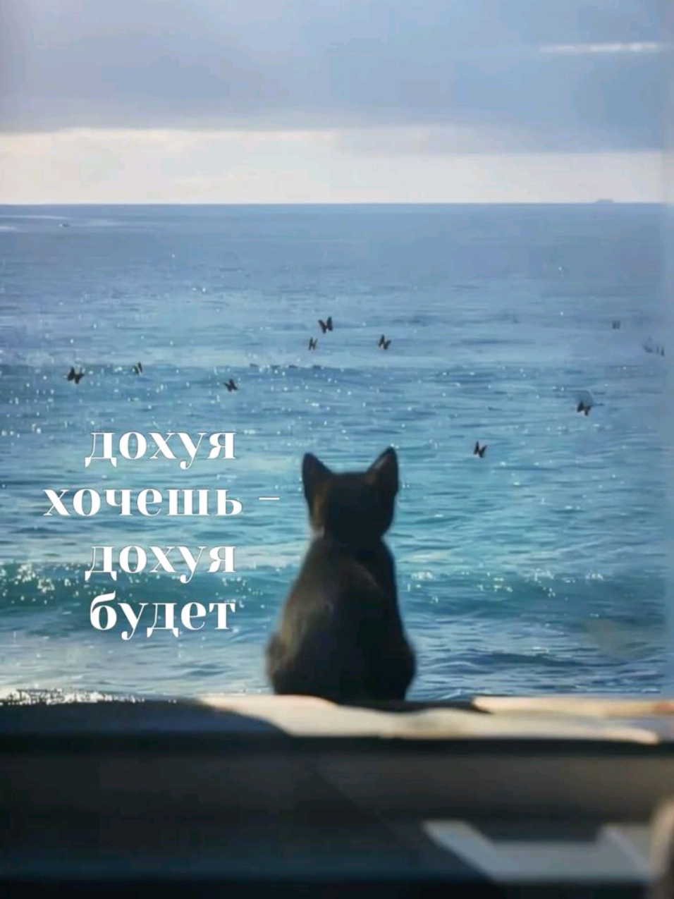 @💫&Aring;řĩ&ntilde;ķ&aring;💫
