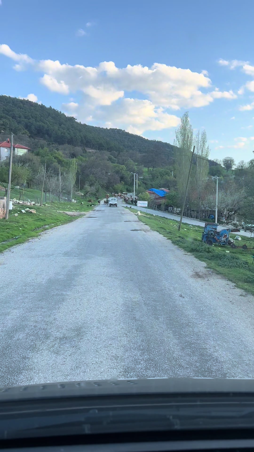@Muhammet Akgün