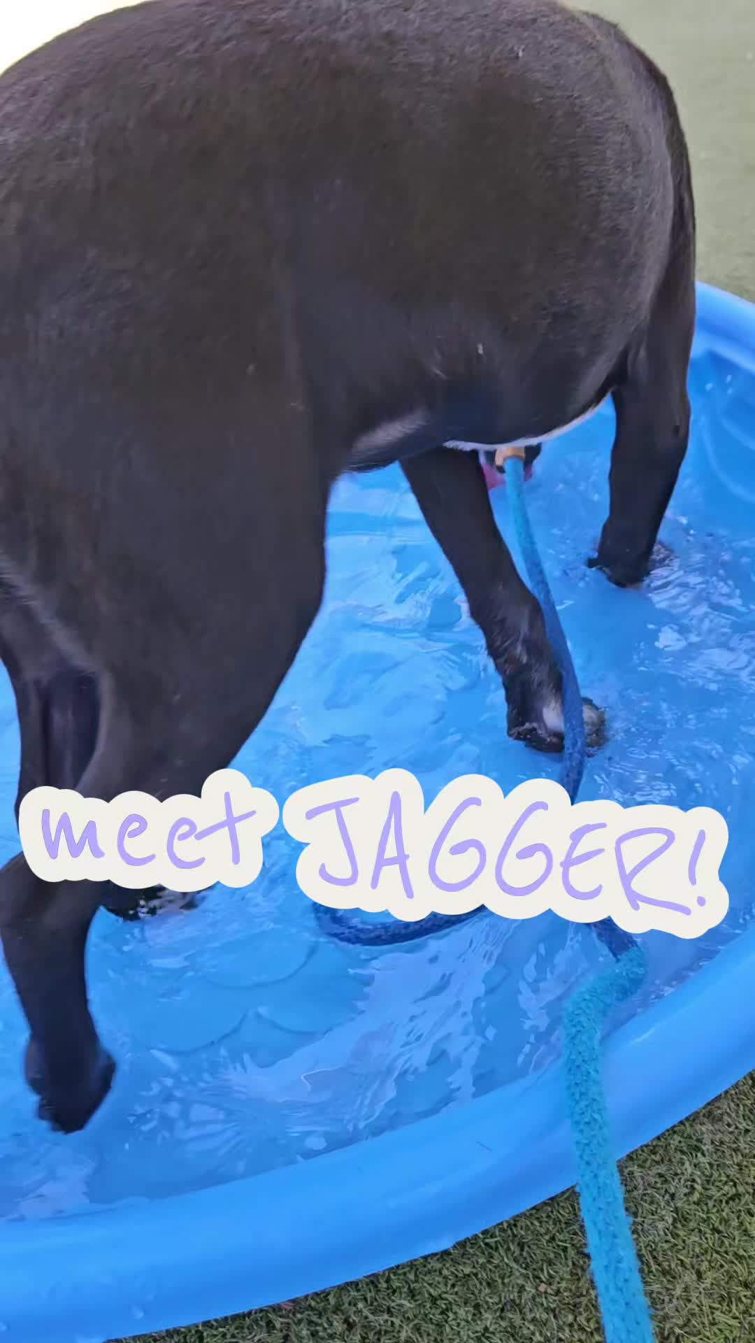 @Donna Deussen