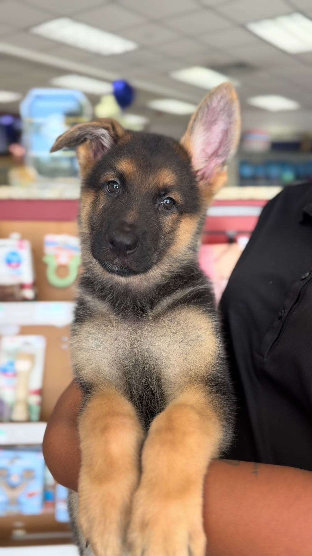 @Petland Bradenton