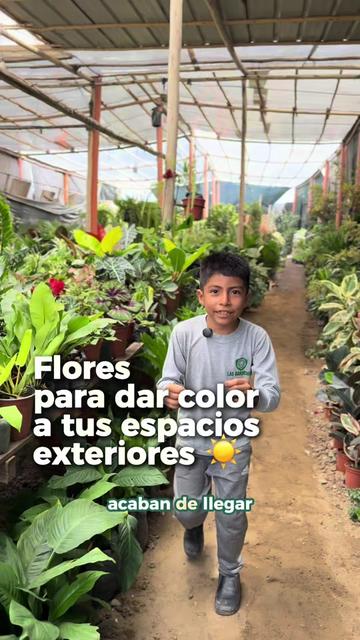 @VIVERO LAS G🦁RDENIAS|TRUJILLO