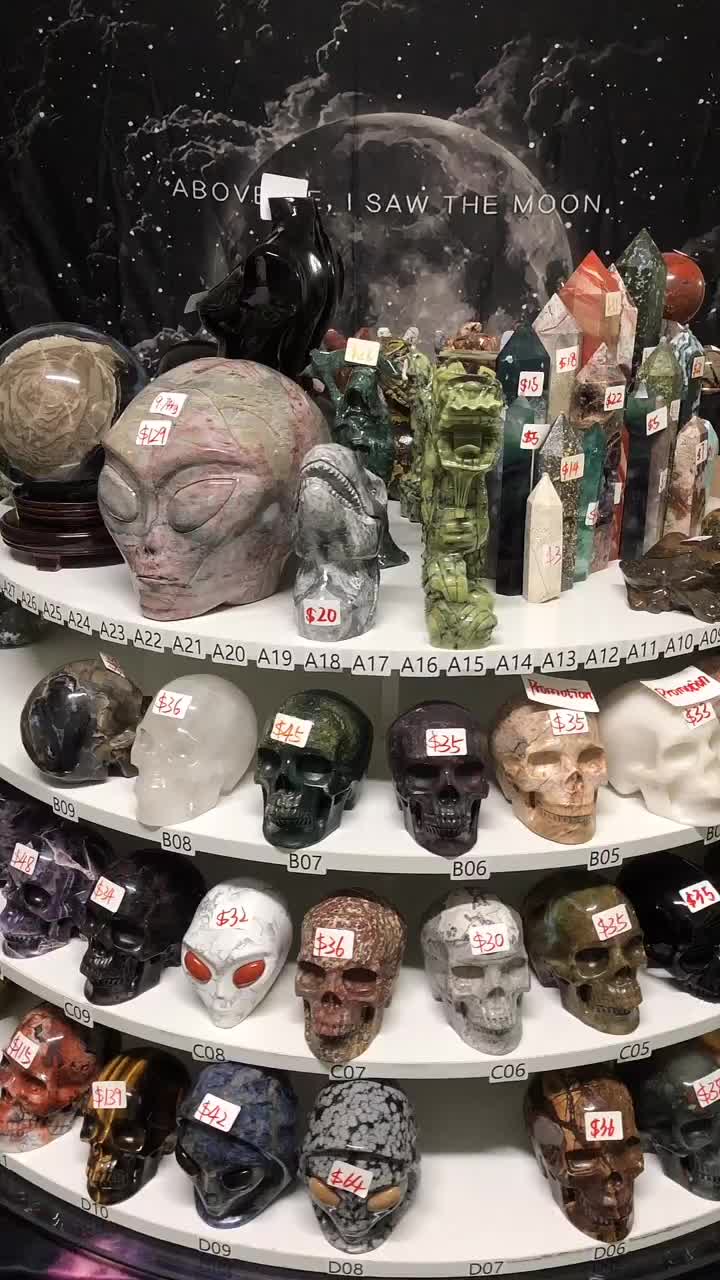 @Mr.Skull
