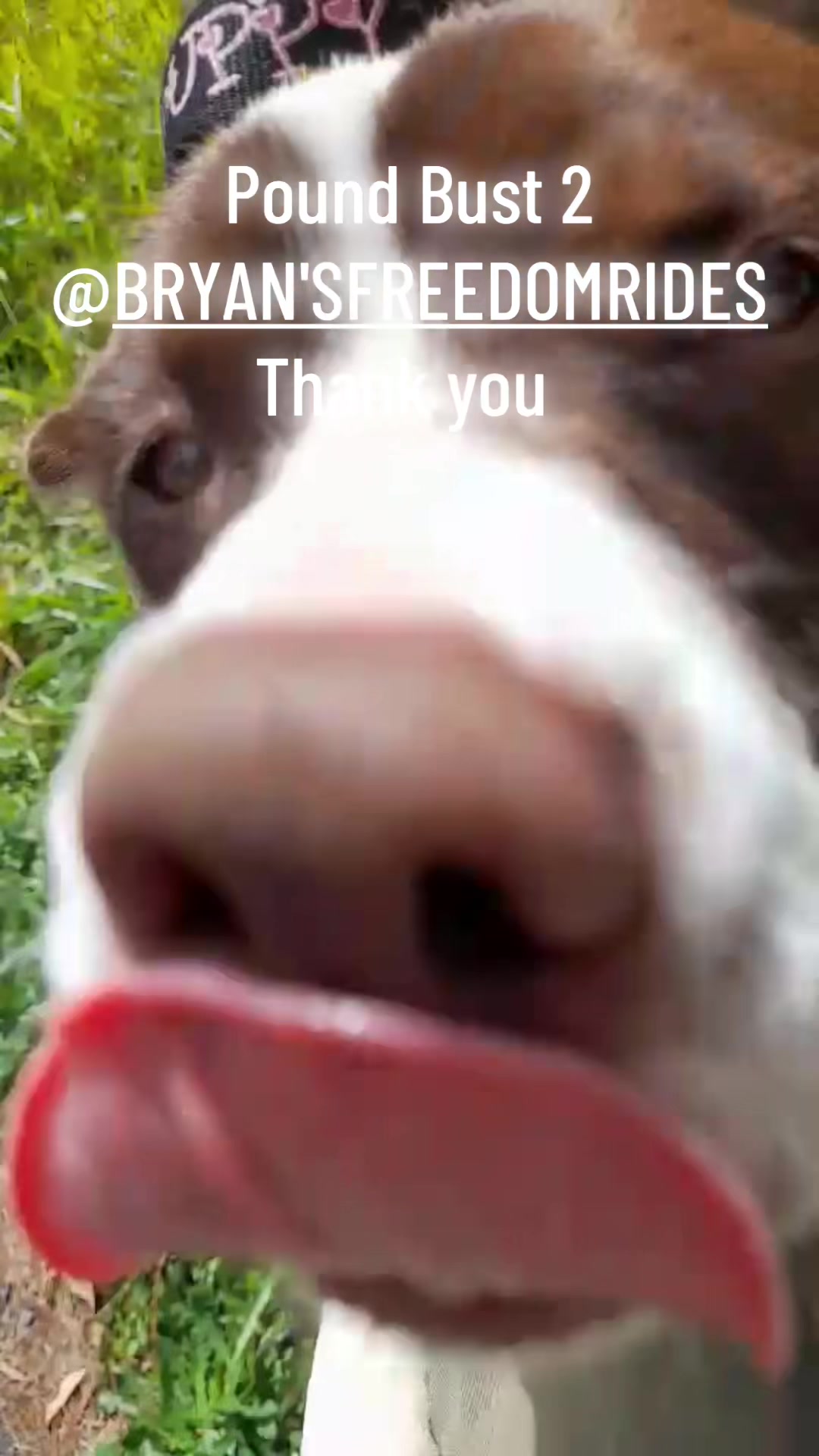 @Judd (just us deserving dogs)