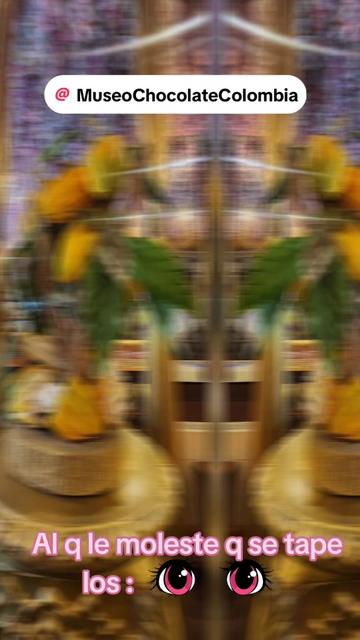 @🦁ᥫ᭡፝֟፝֟Sσყ ʅα Oƚɾα🌻🍒