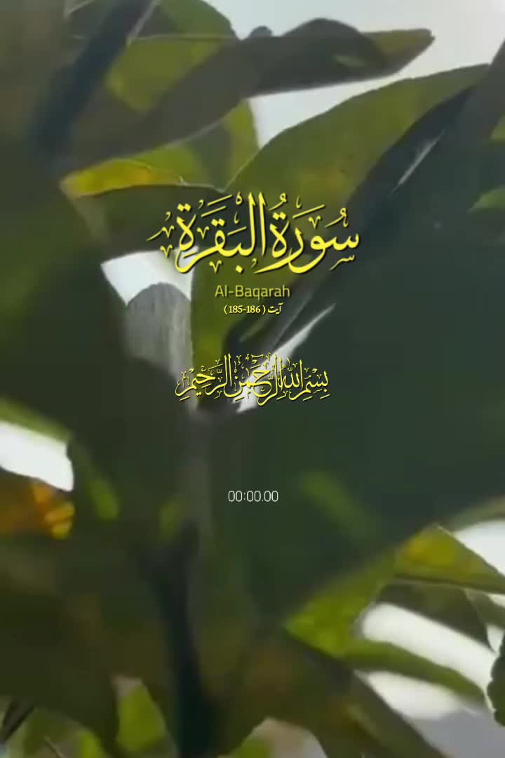 @aestheticbg6