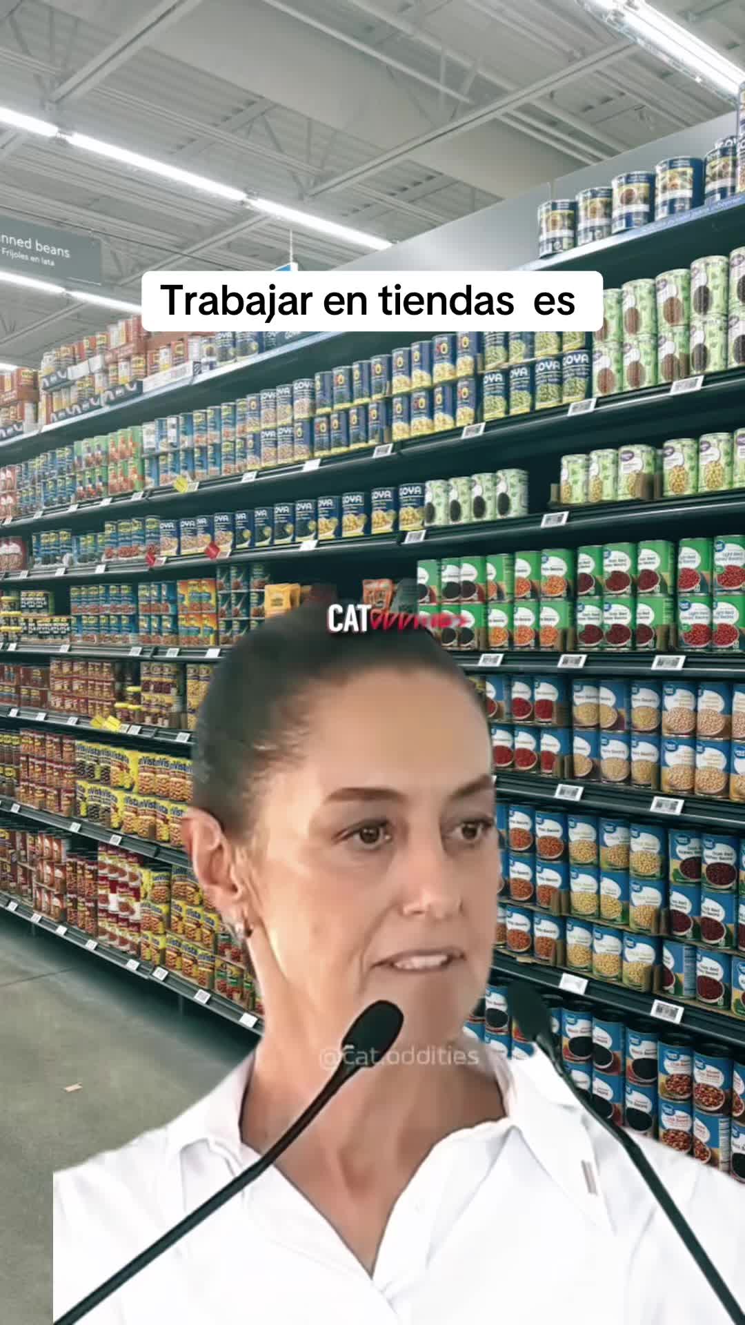 @Jovita Gomes
