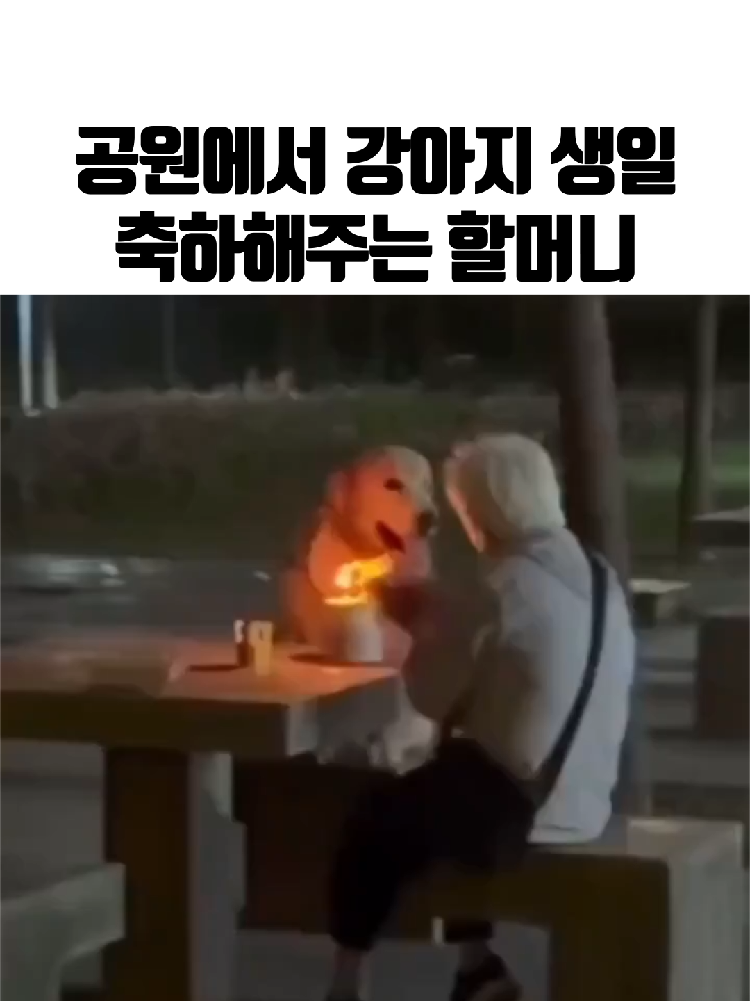 @MU___PD