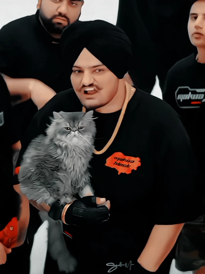 @ᴀʟɪ ᴊᴀᴊᴊᴀ 🦅