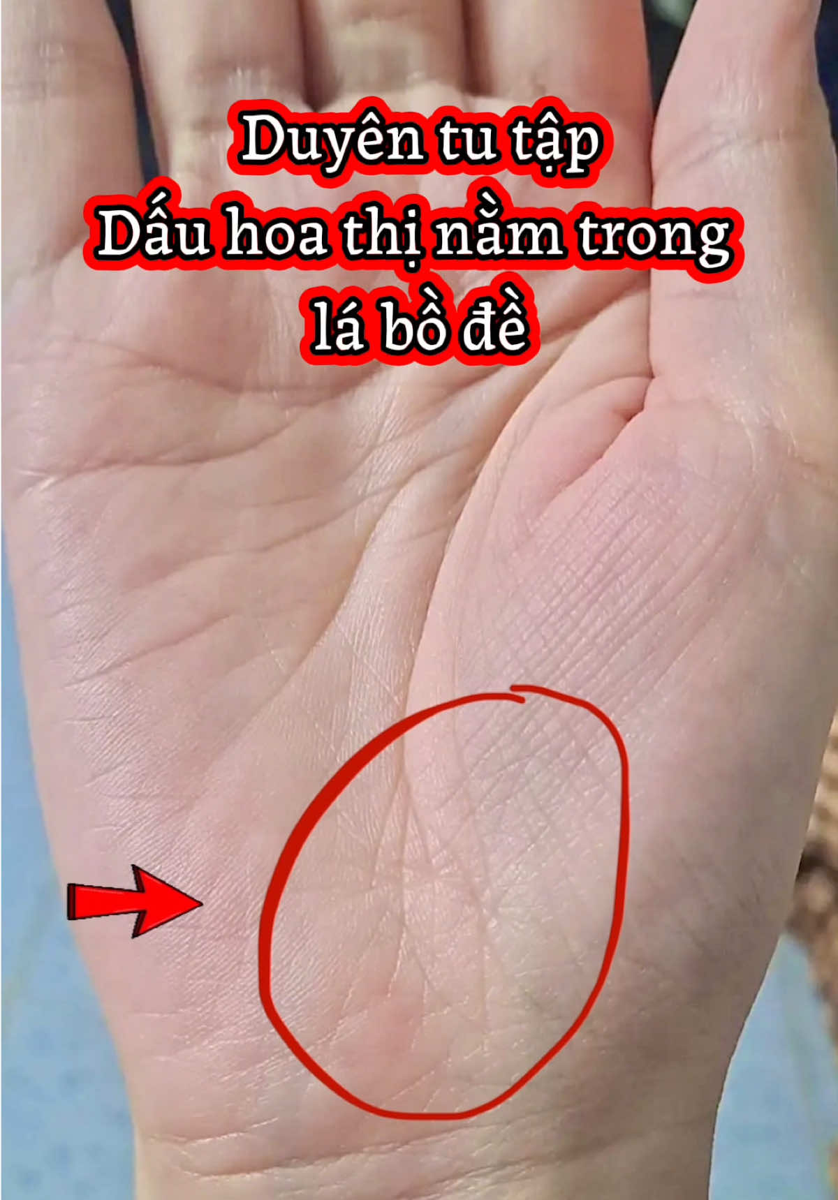 @VẬN MỆNH RADIO