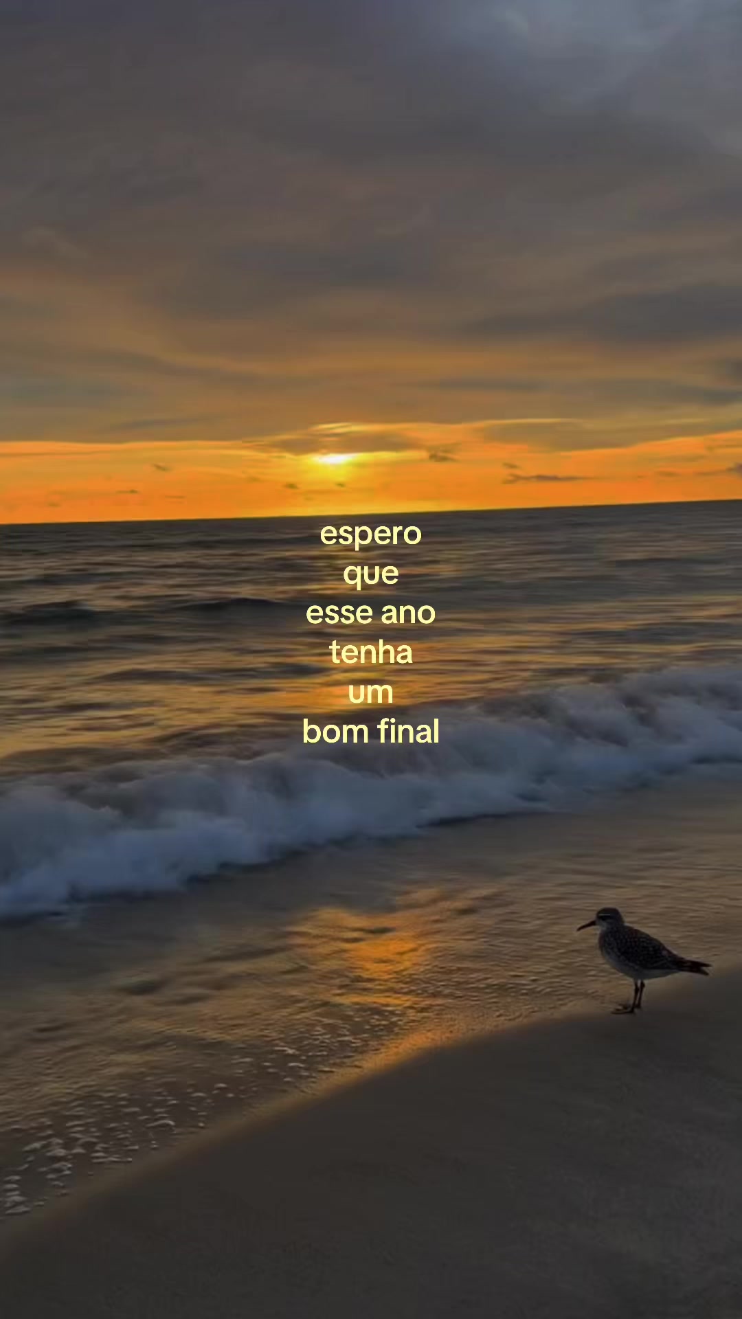 @꩜