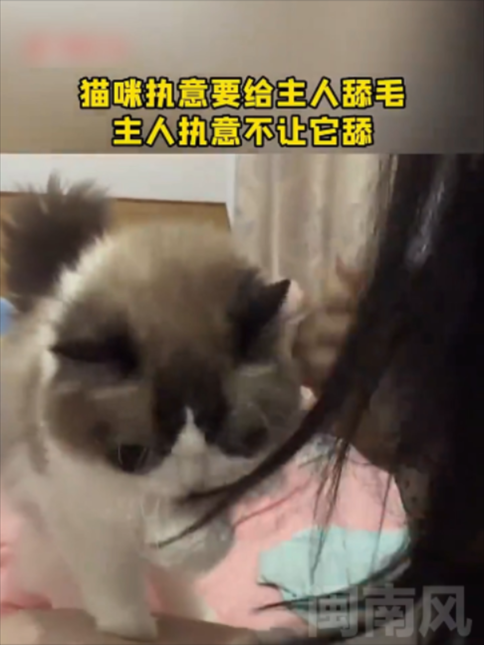 @闽南风~