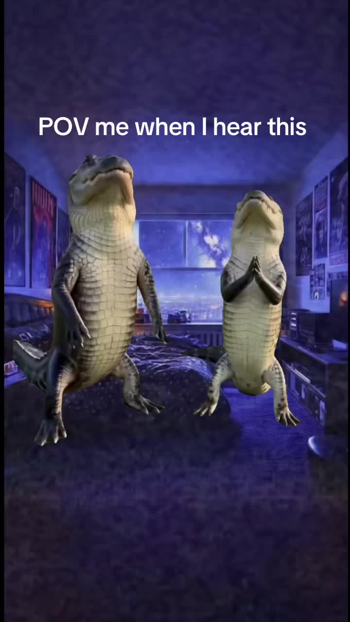 @Jeff663388