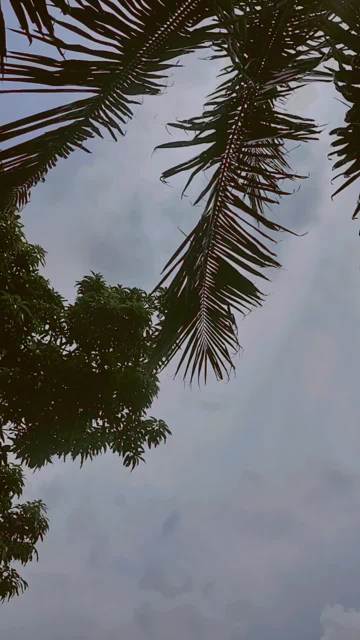 @chanda kumarii mehta