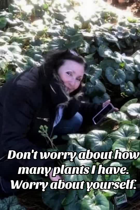 @pamelajeanpoole
