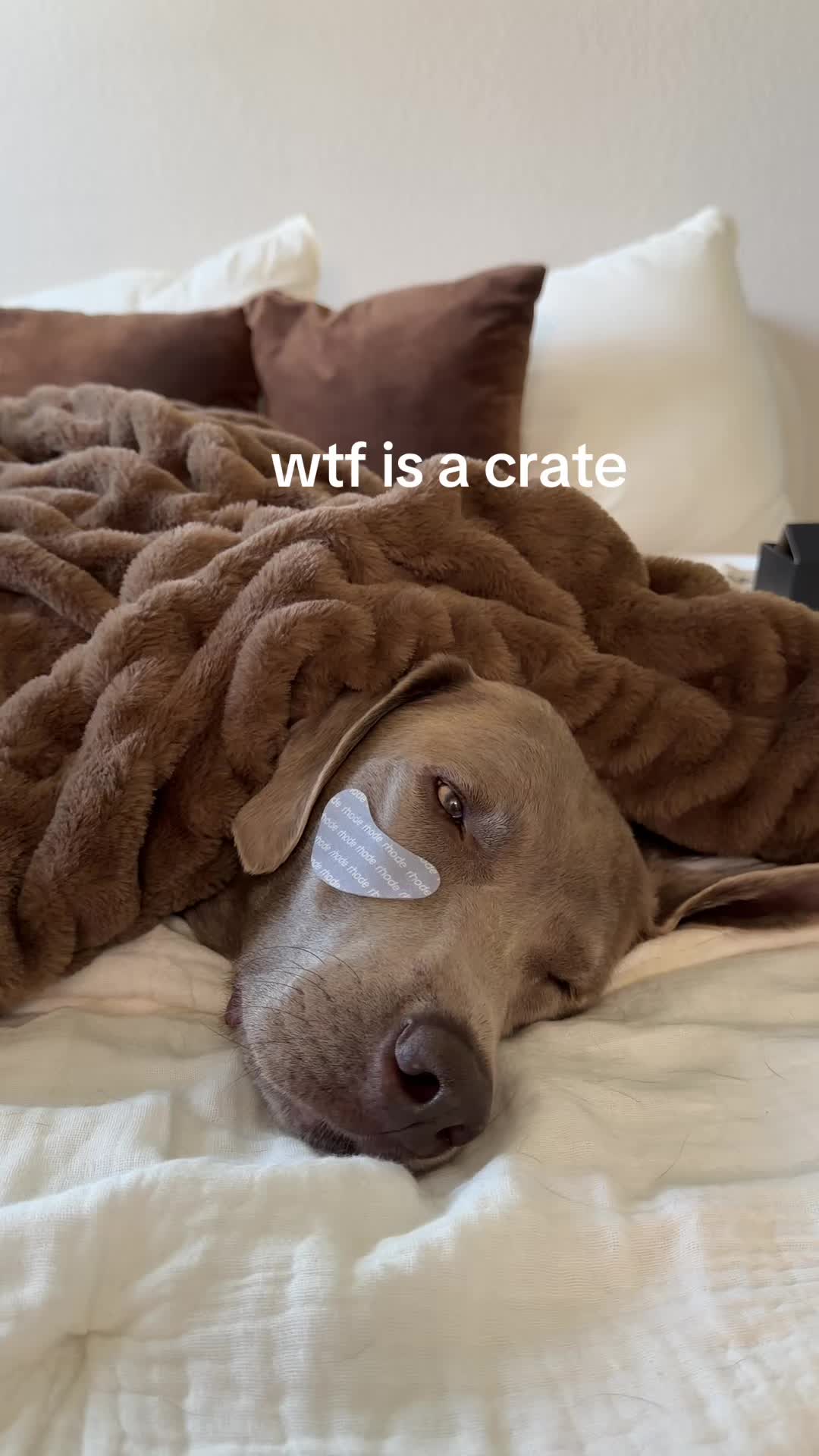 @brittwilll