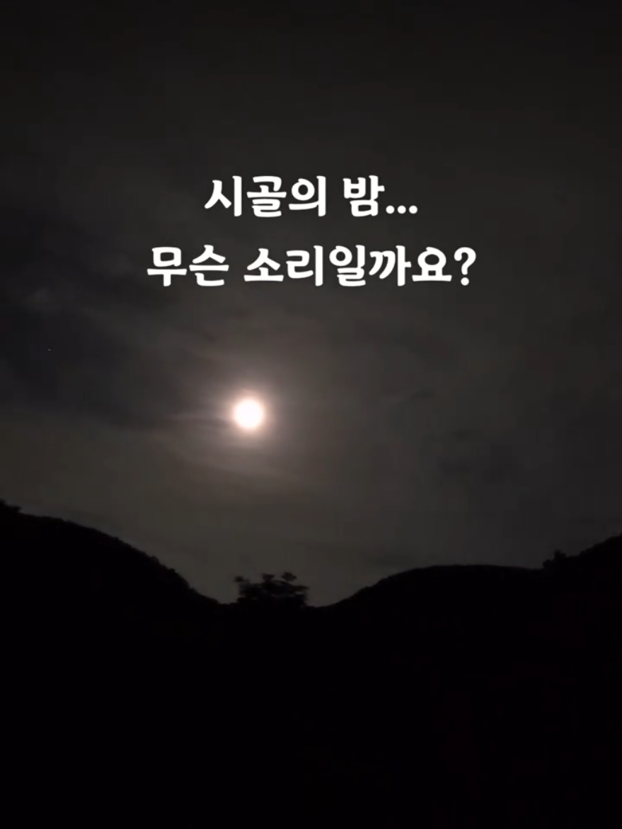 @지니힐즈