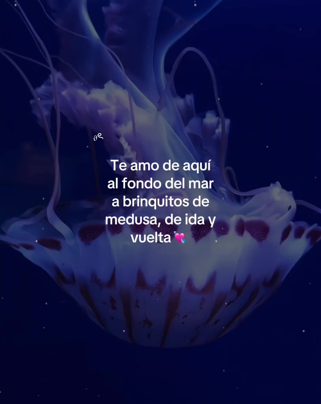 @⋆˚࿔𝓙 𝓪𝓷𝔂𝓮 ★