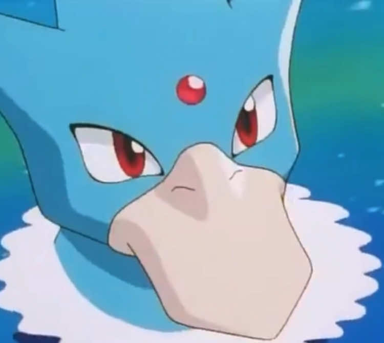 @Kanto's Pokemon