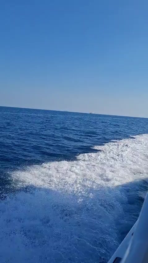 @Никита