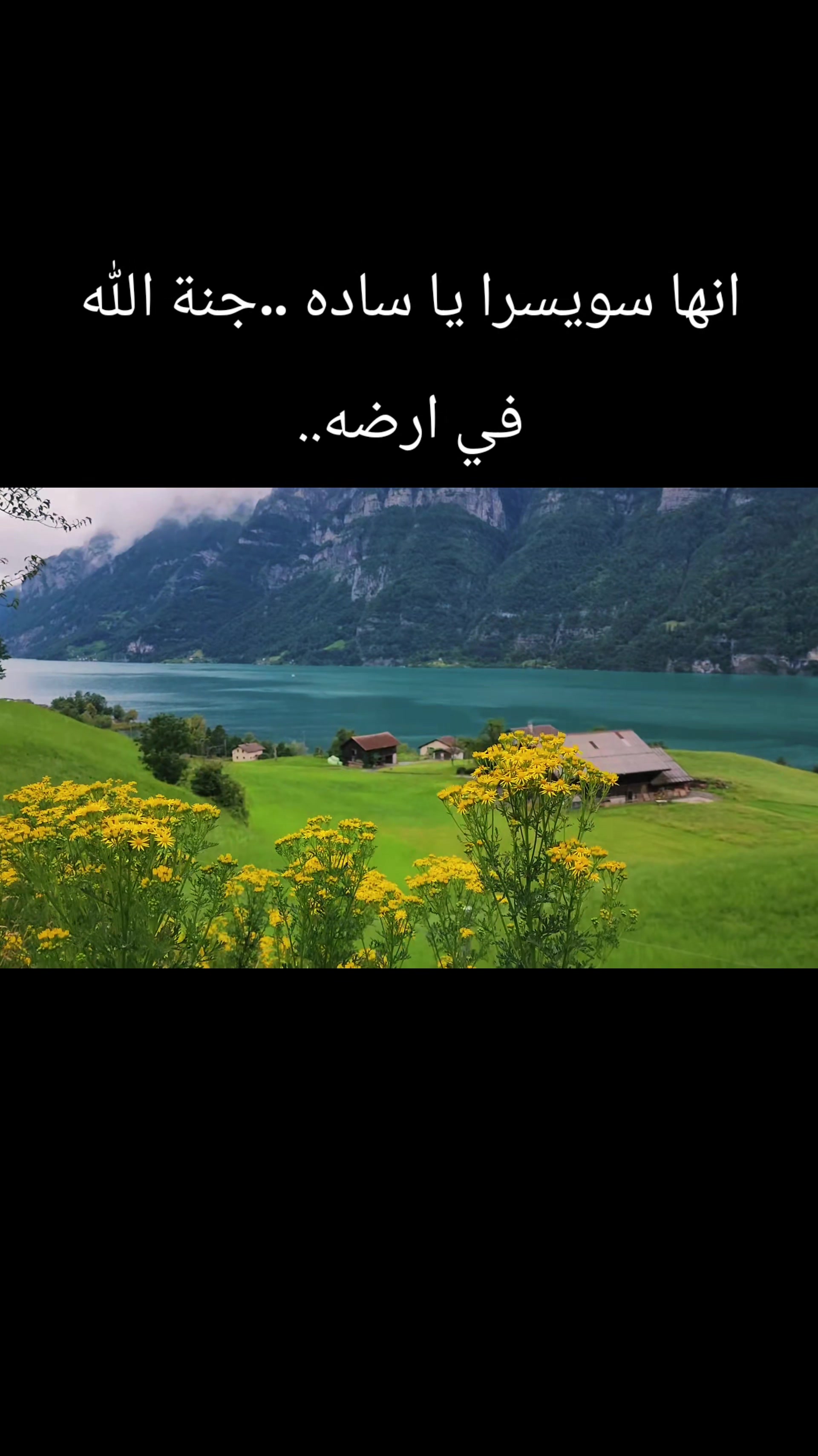 @Akil Alhalmi عقيل الحالمي