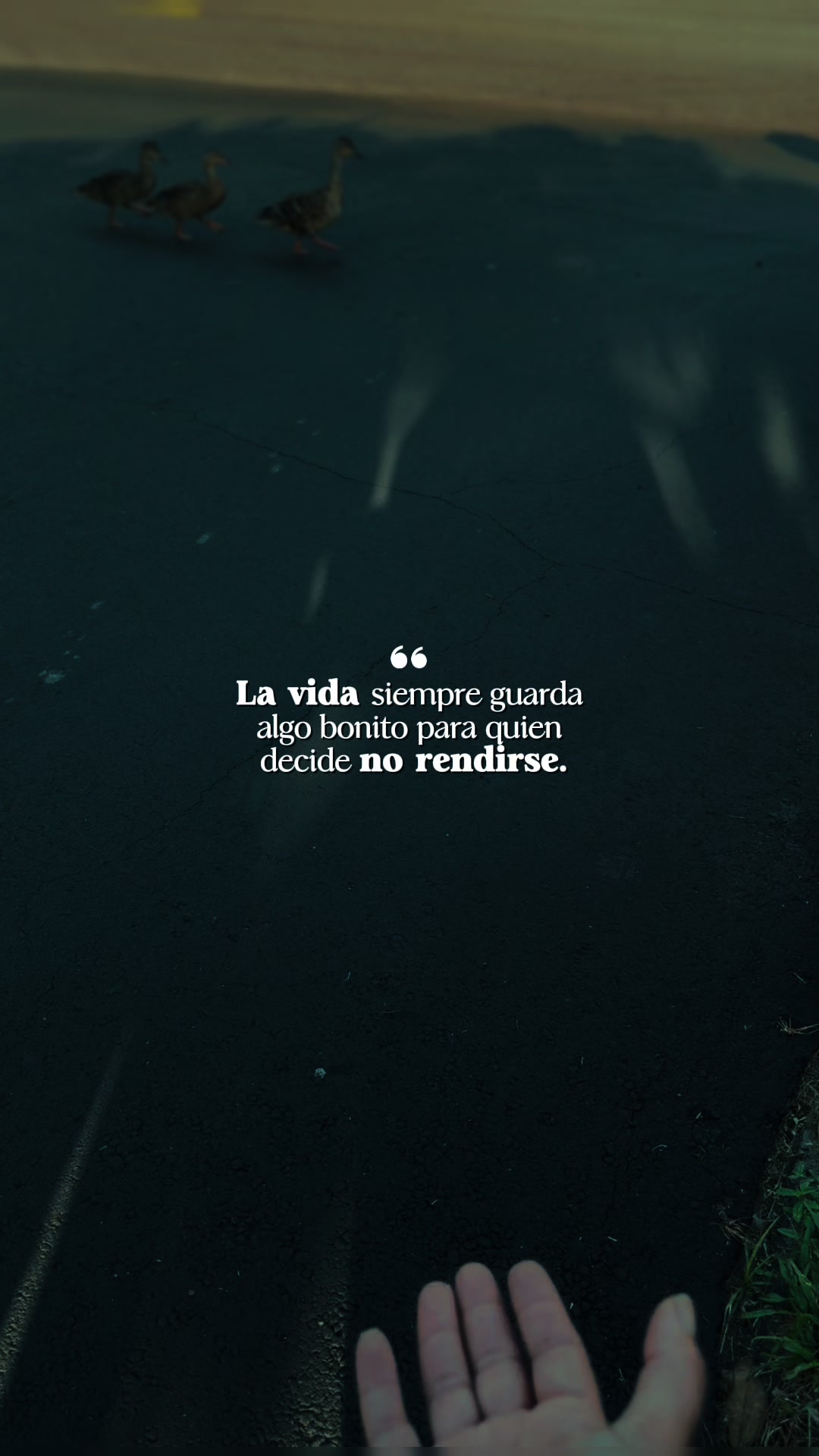 @✨️Dra.Deyliana✨️