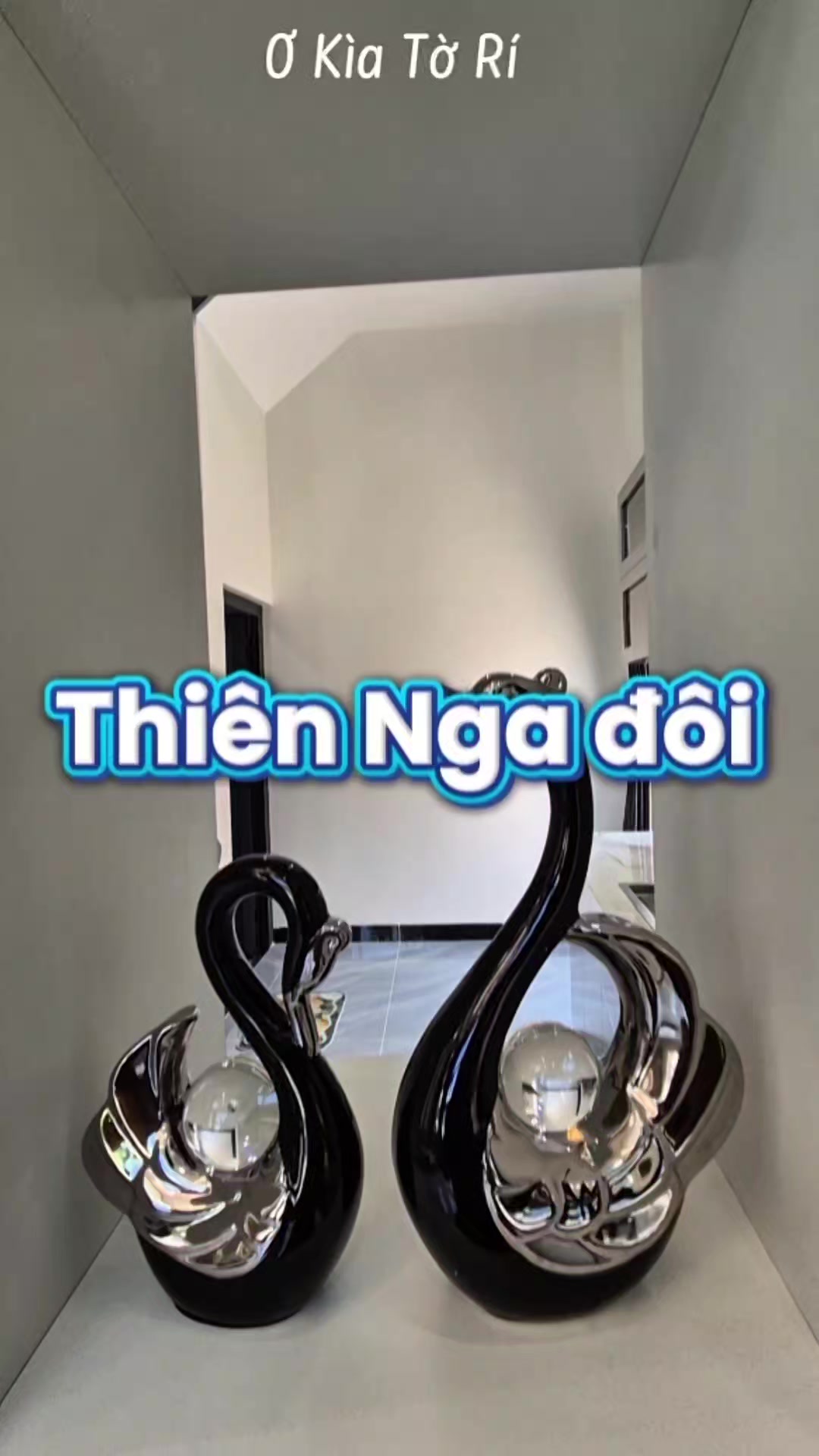 @Ơ K&igrave;a Tờ R&iacute;