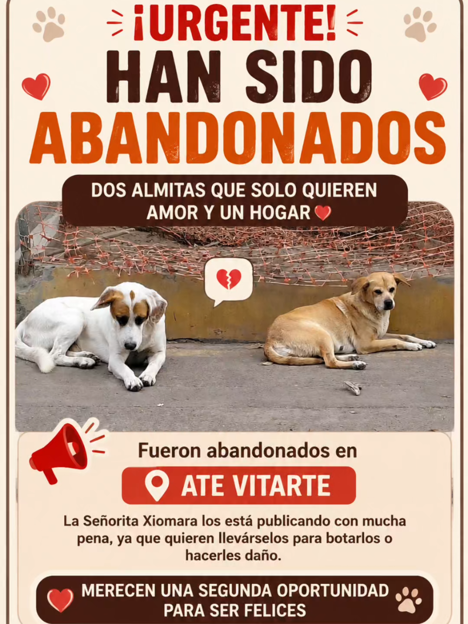 @Perritos Voladores
