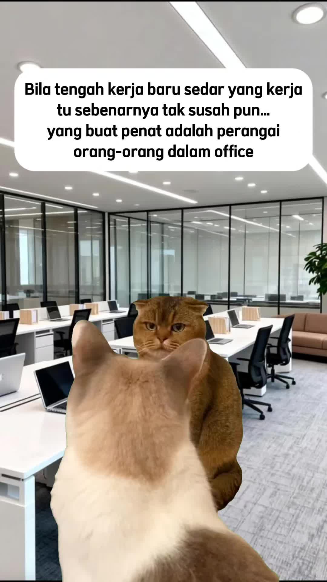@GDealMY