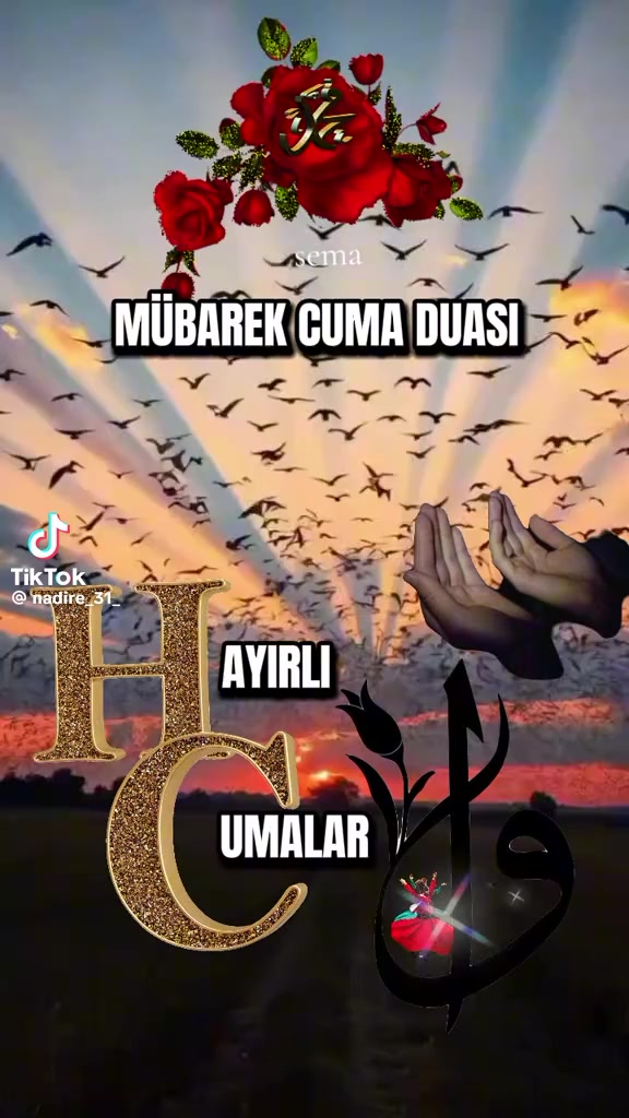 @Havva Güney