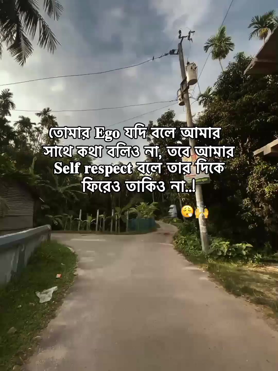 @⁷𝐇𝐚𝐦𝐢𝐝𝐚◡🧃