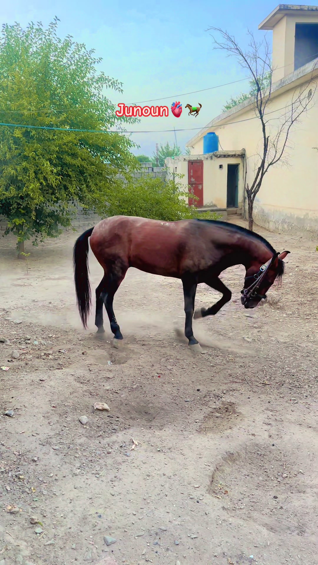 @اسامہ خان