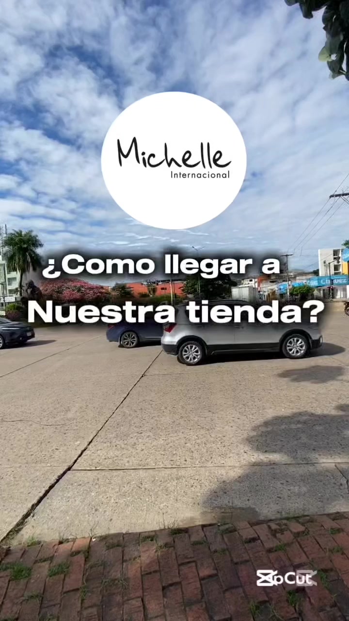 @Michelle Internacional SRL