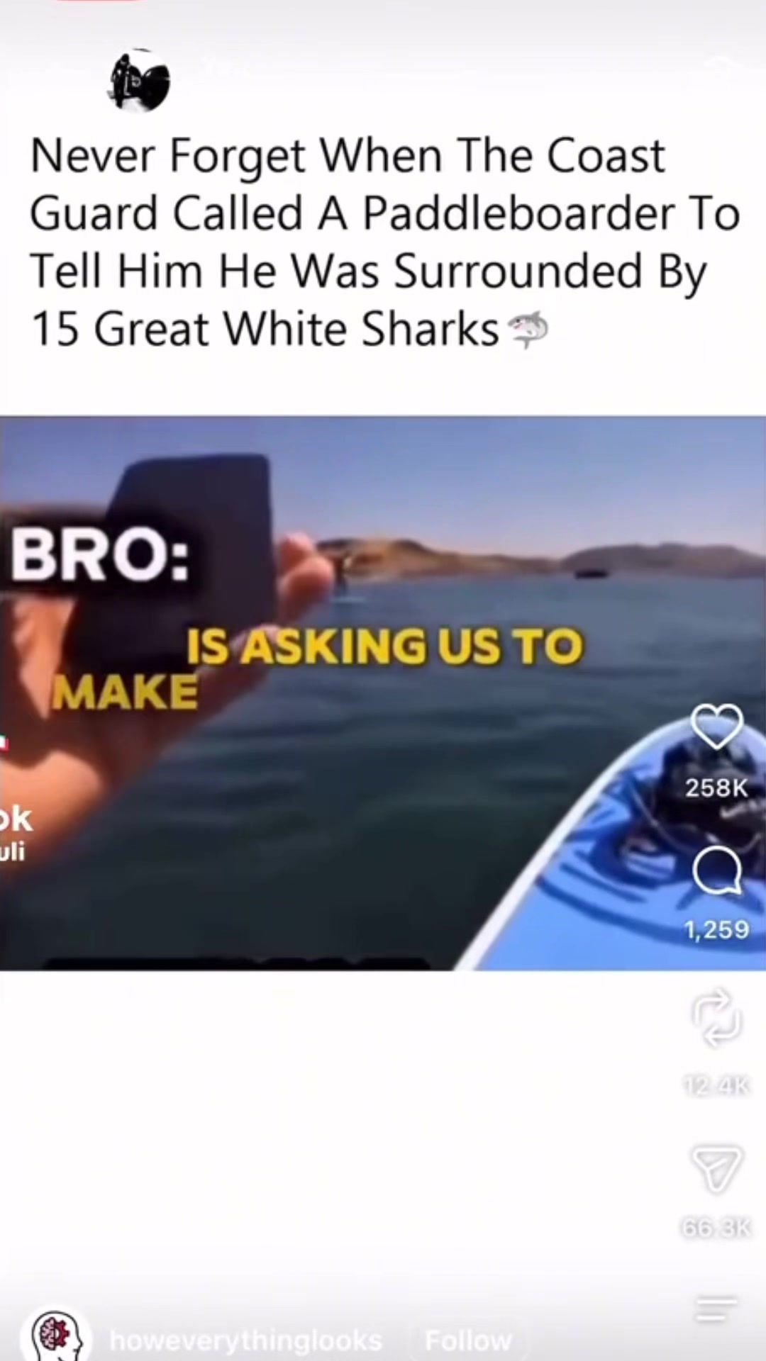 @Joke junkies