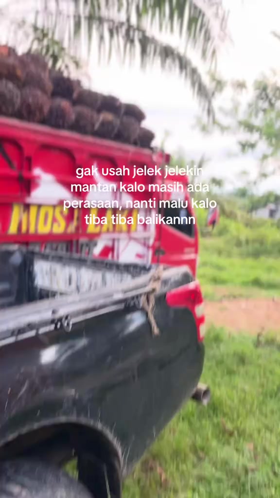 @sintetek ijo_03