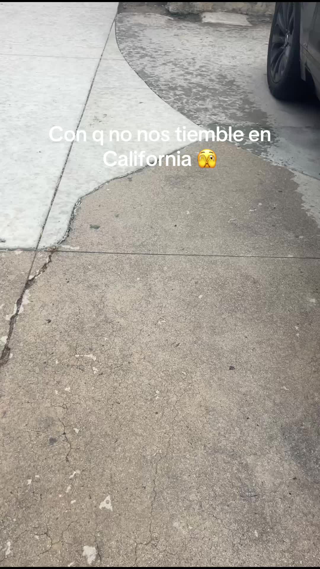 @Ani Garcia🥷 ⚾️💙