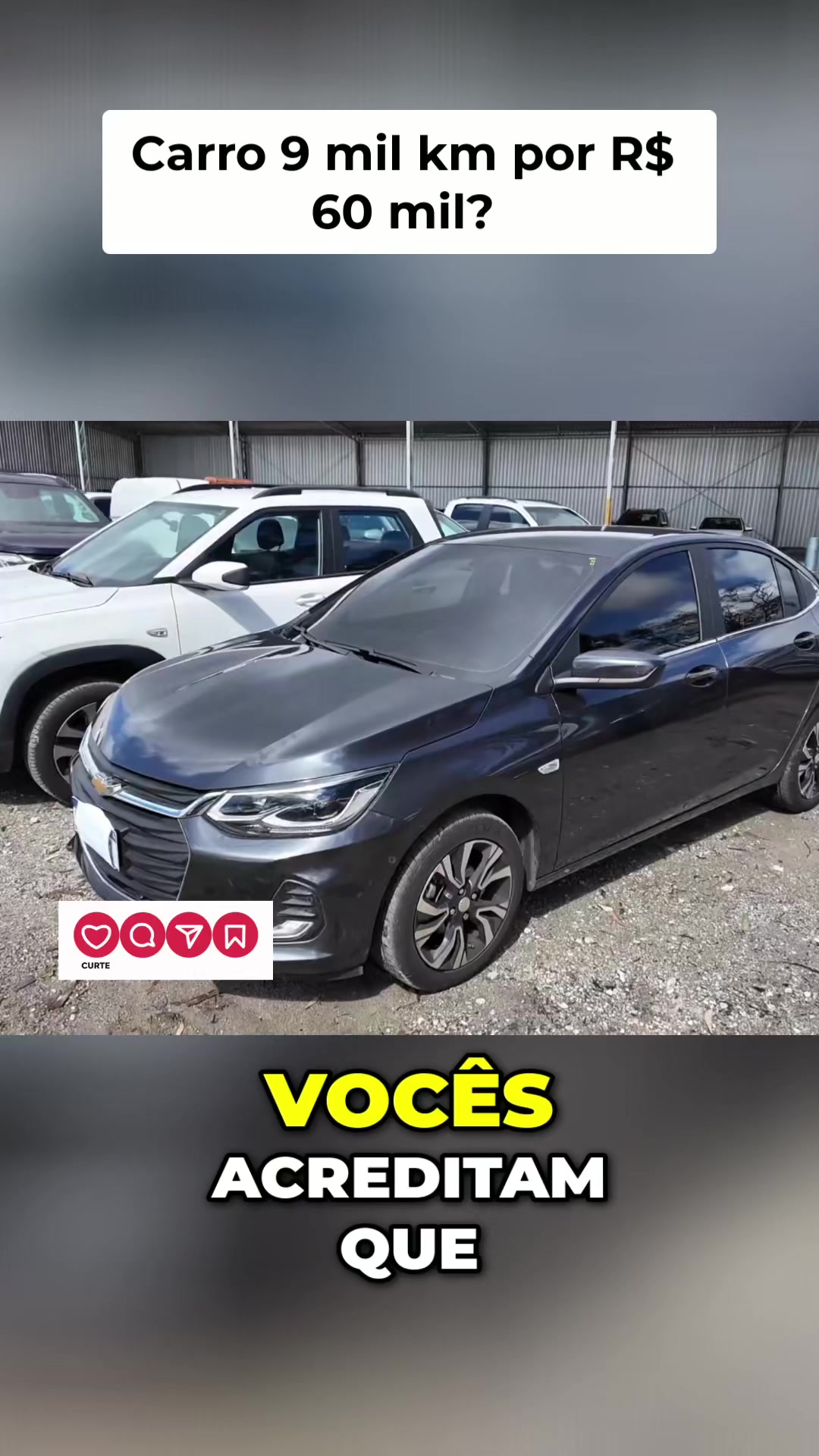 @Cortes tudo sobre Leilao