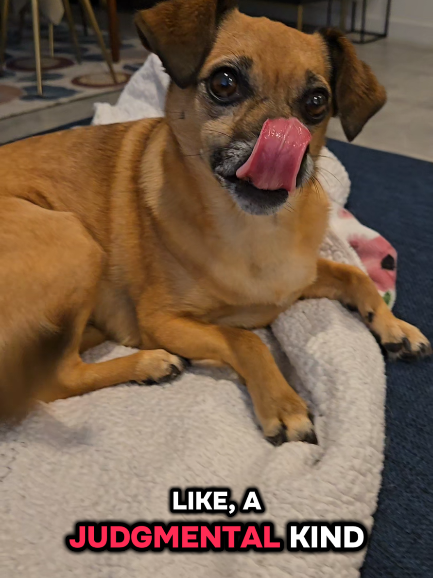 @Twix