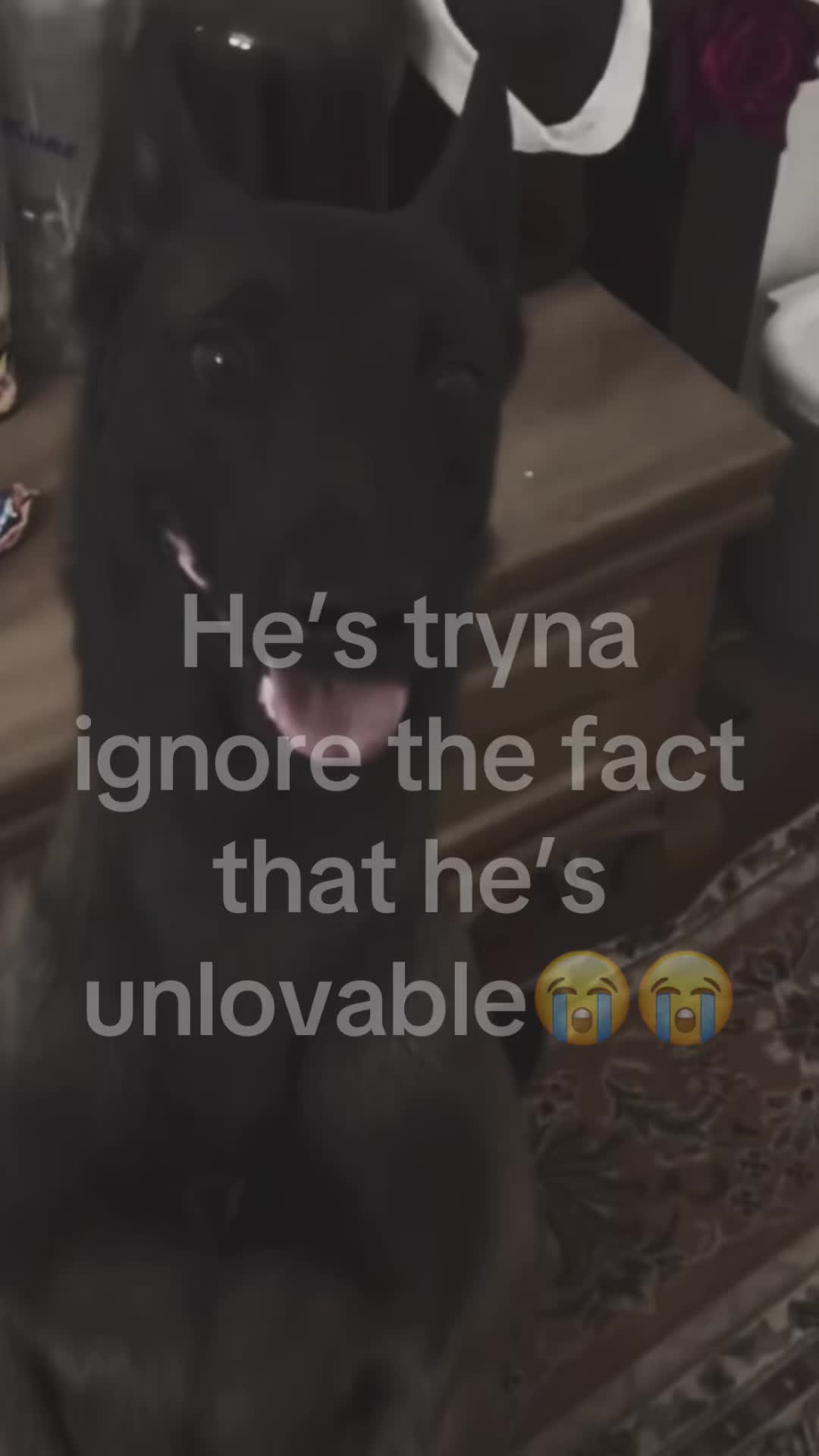 @mimi🐾